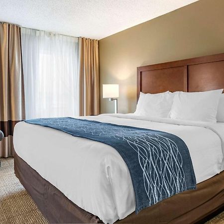 Comfort Inn & Suites Dimondale - Lansing Kültér fotó
