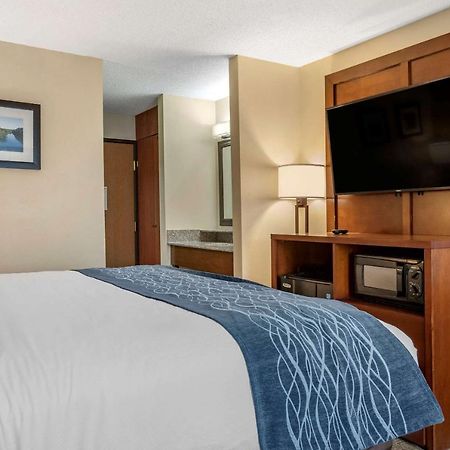 Comfort Inn & Suites Dimondale - Lansing Kültér fotó