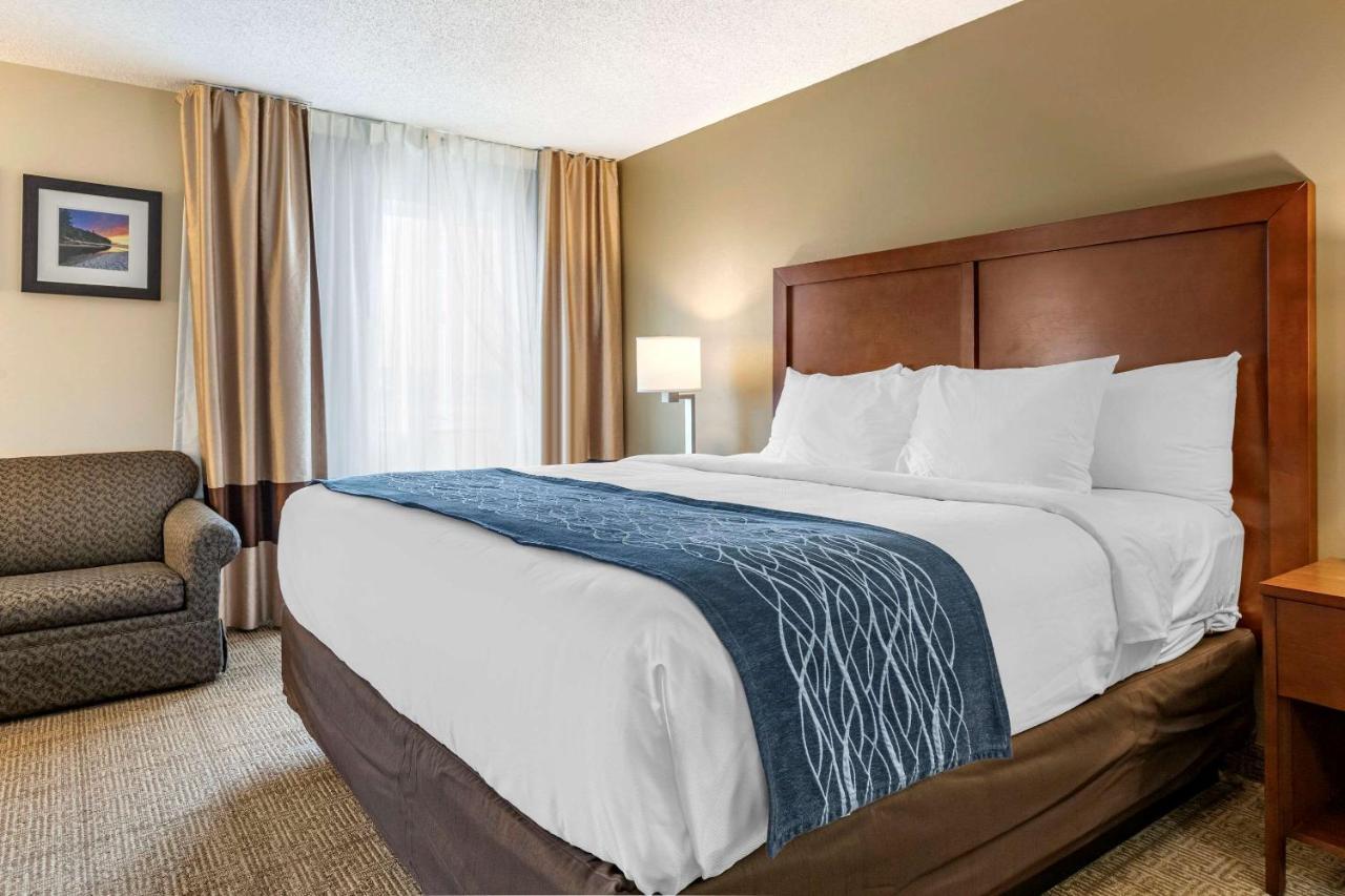 Comfort Inn & Suites Dimondale - Lansing Kültér fotó