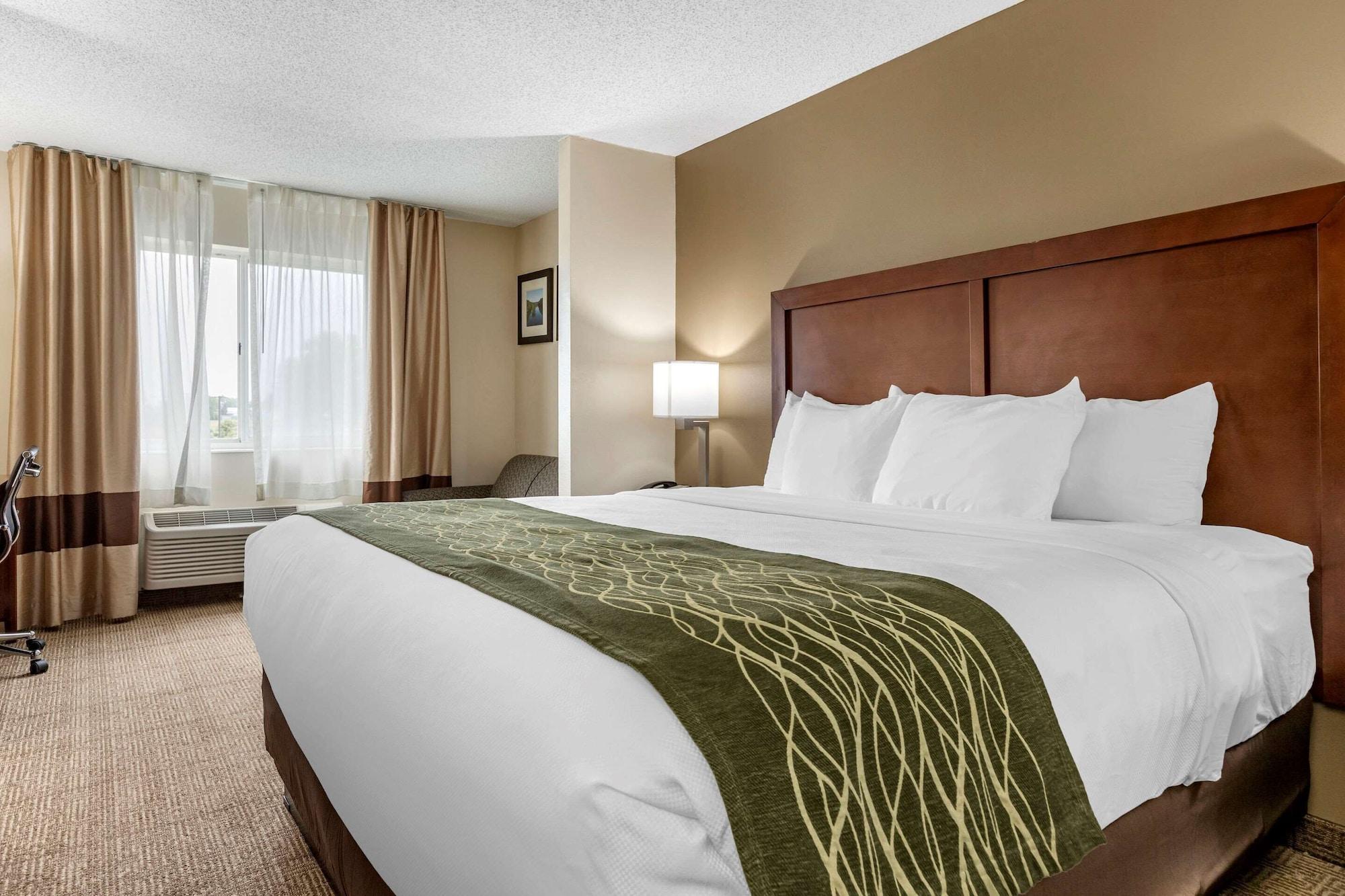 Comfort Inn & Suites Dimondale - Lansing Kültér fotó