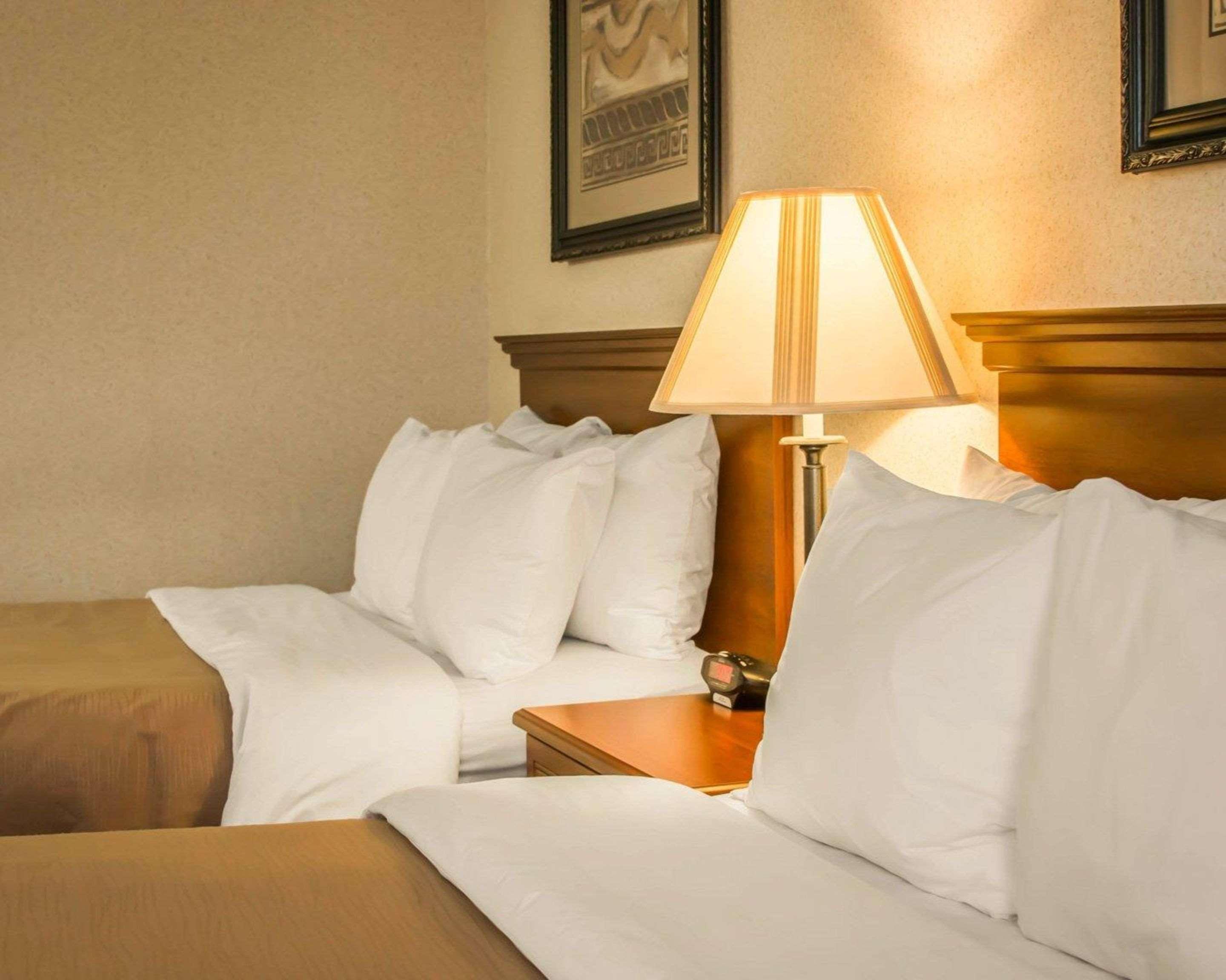 Comfort Inn & Suites Dimondale - Lansing Kültér fotó