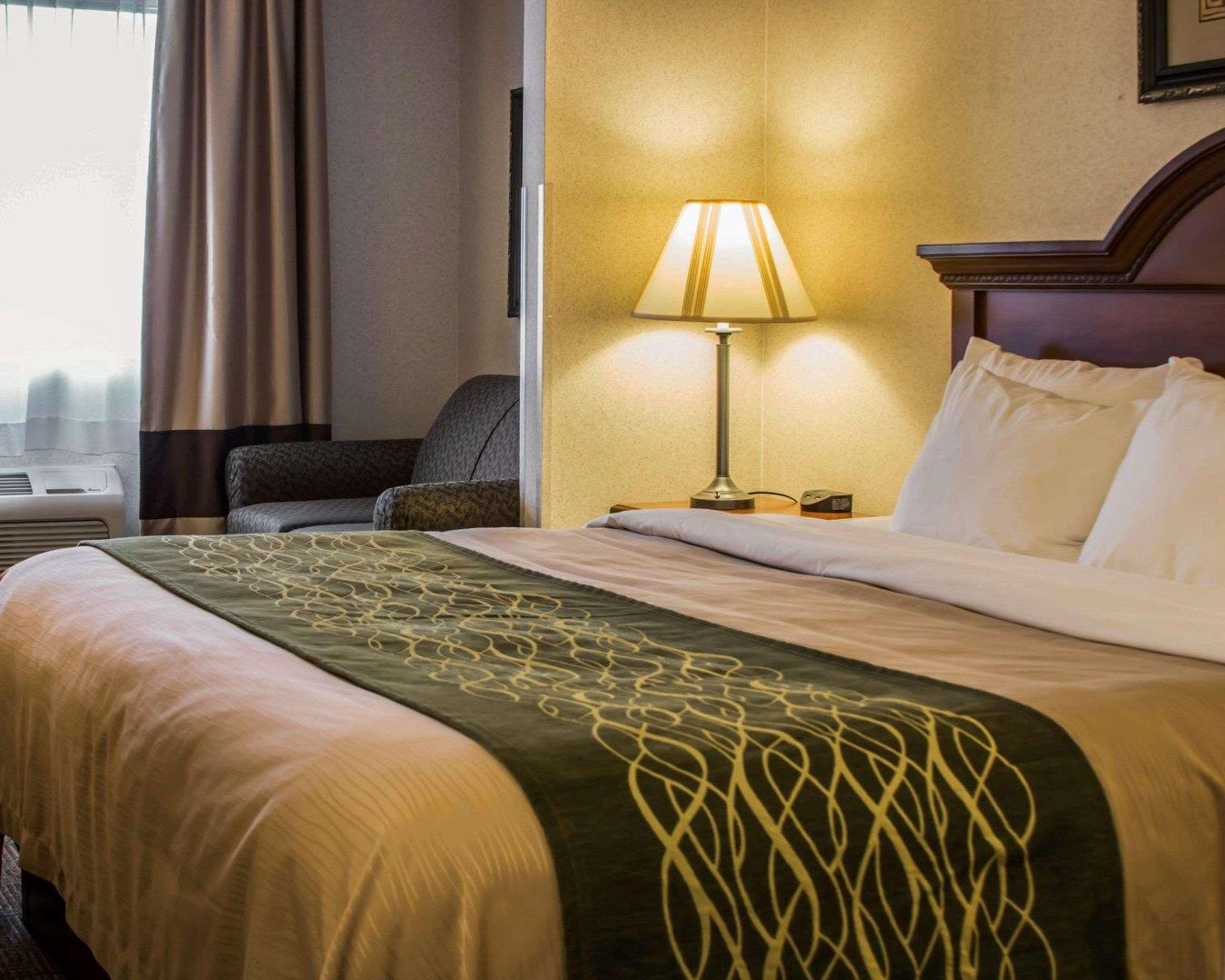 Comfort Inn & Suites Dimondale - Lansing Kültér fotó