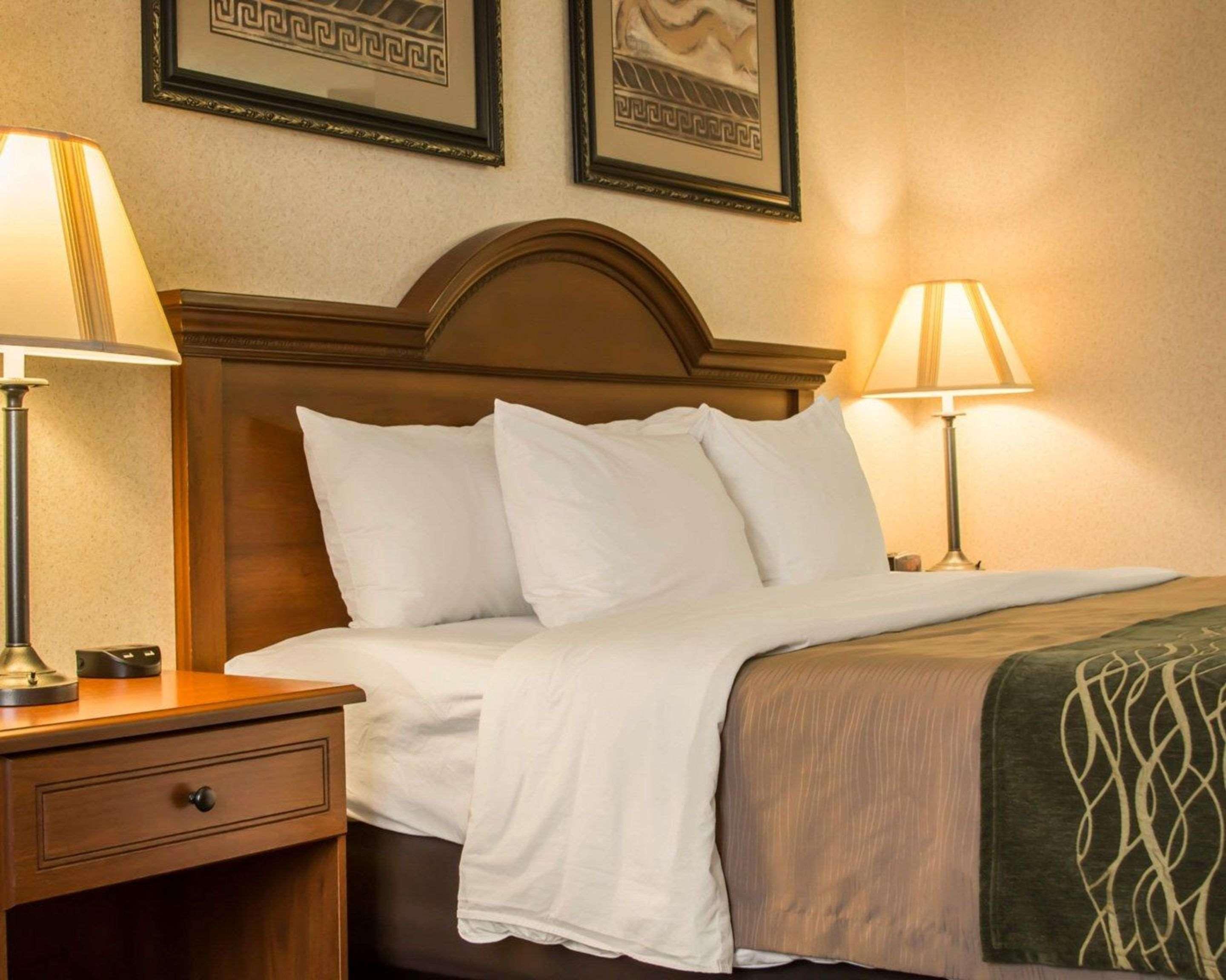 Comfort Inn & Suites Dimondale - Lansing Kültér fotó
