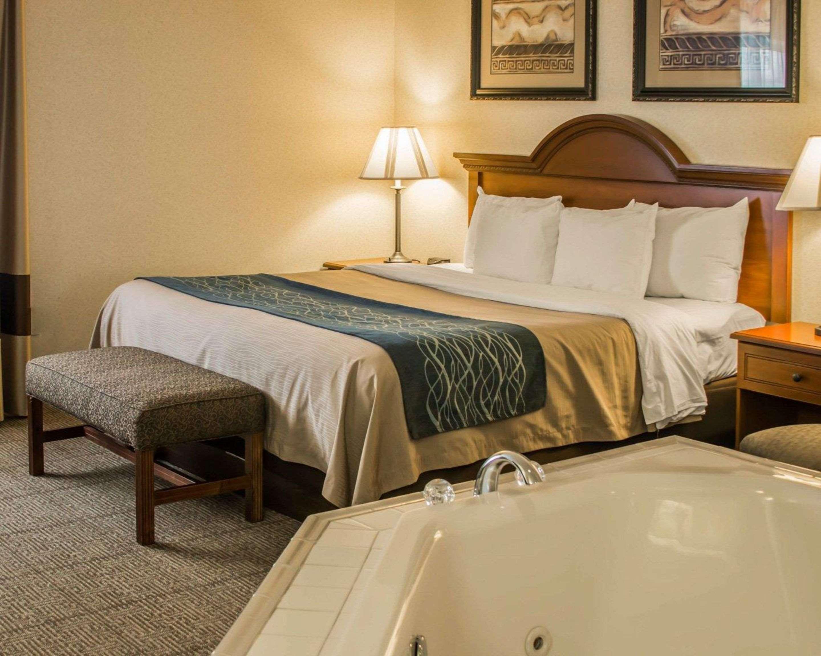 Comfort Inn & Suites Dimondale - Lansing Kültér fotó
