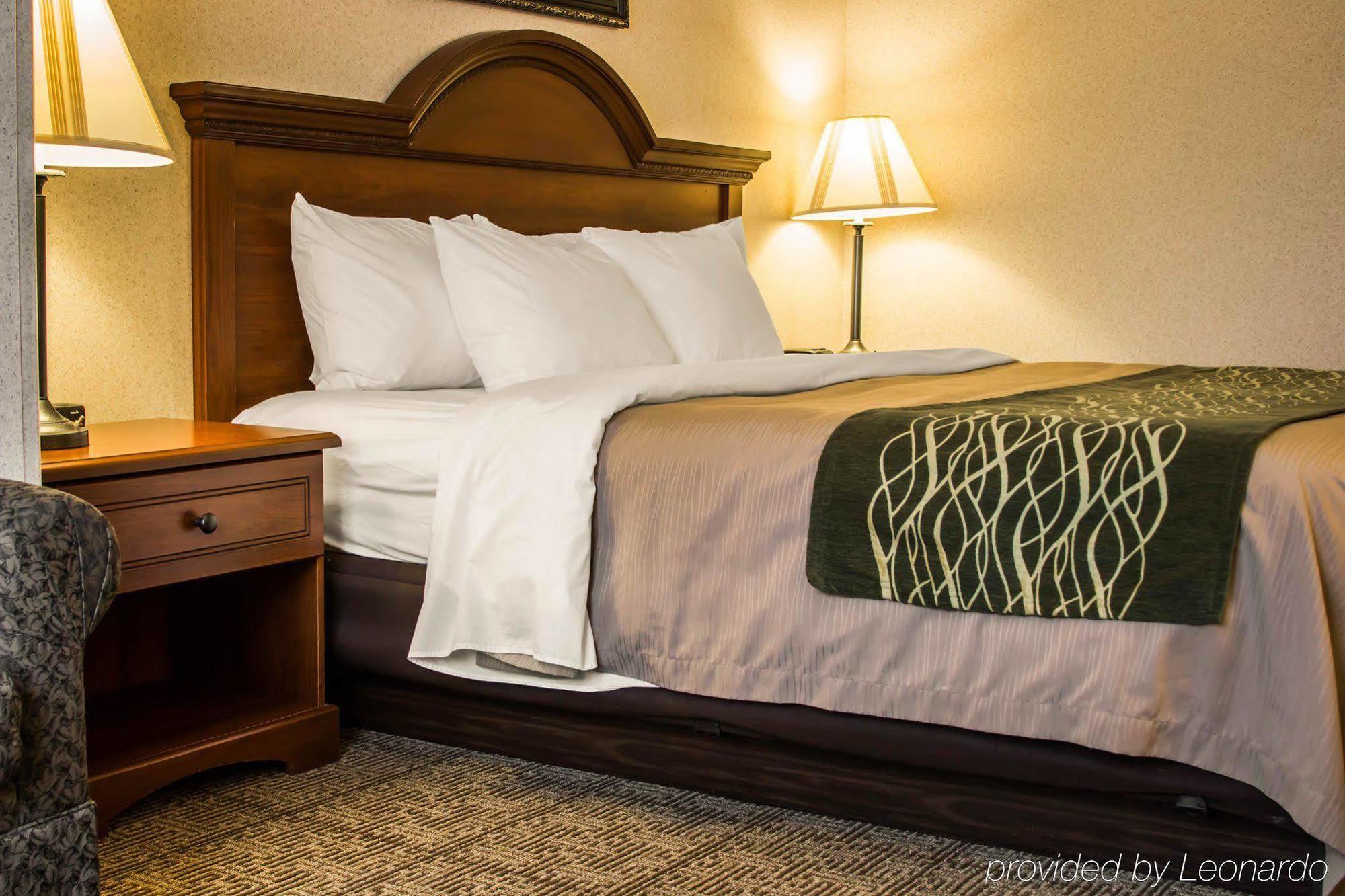 Comfort Inn & Suites Dimondale - Lansing Kültér fotó