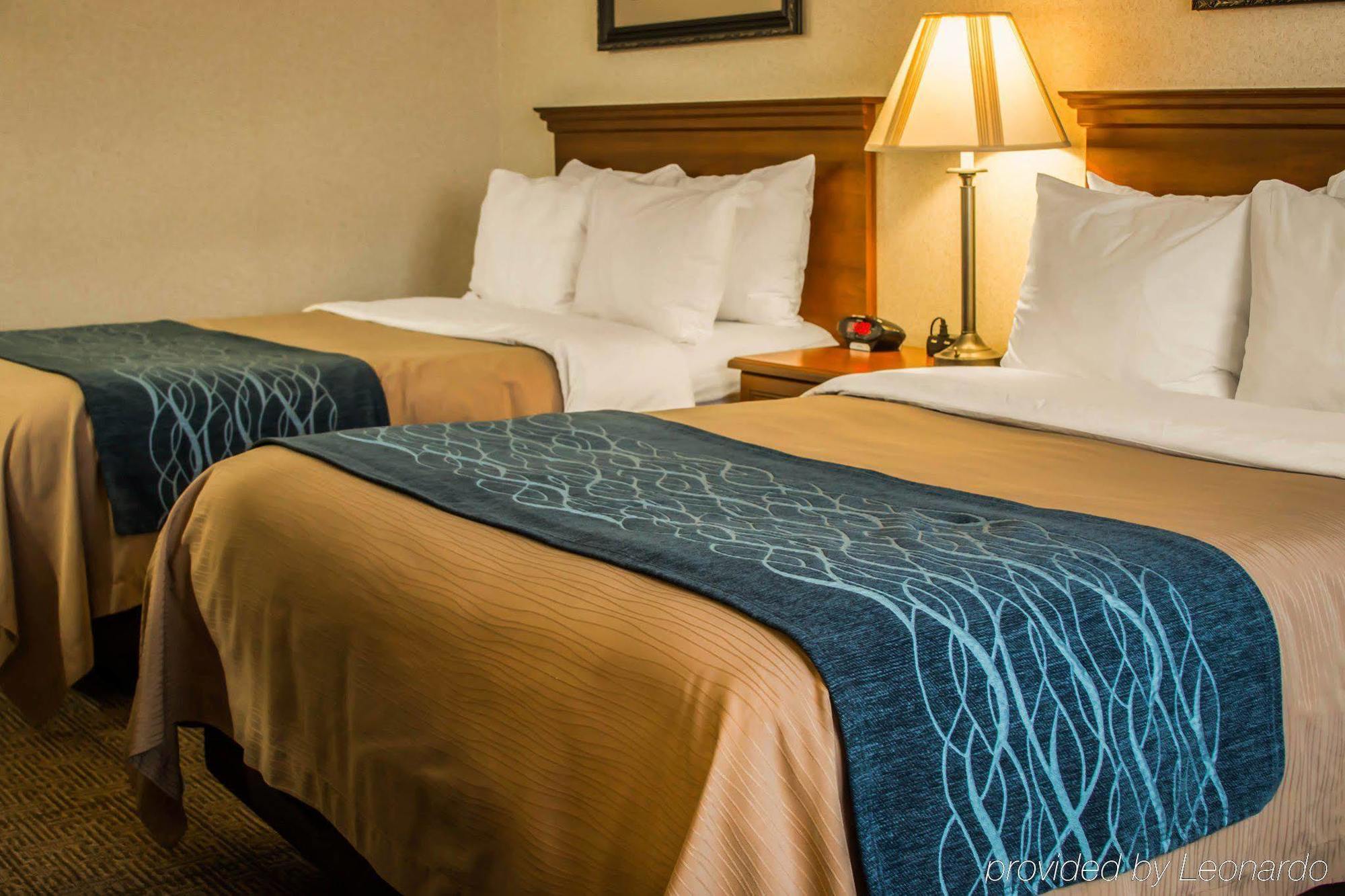 Comfort Inn & Suites Dimondale - Lansing Kültér fotó