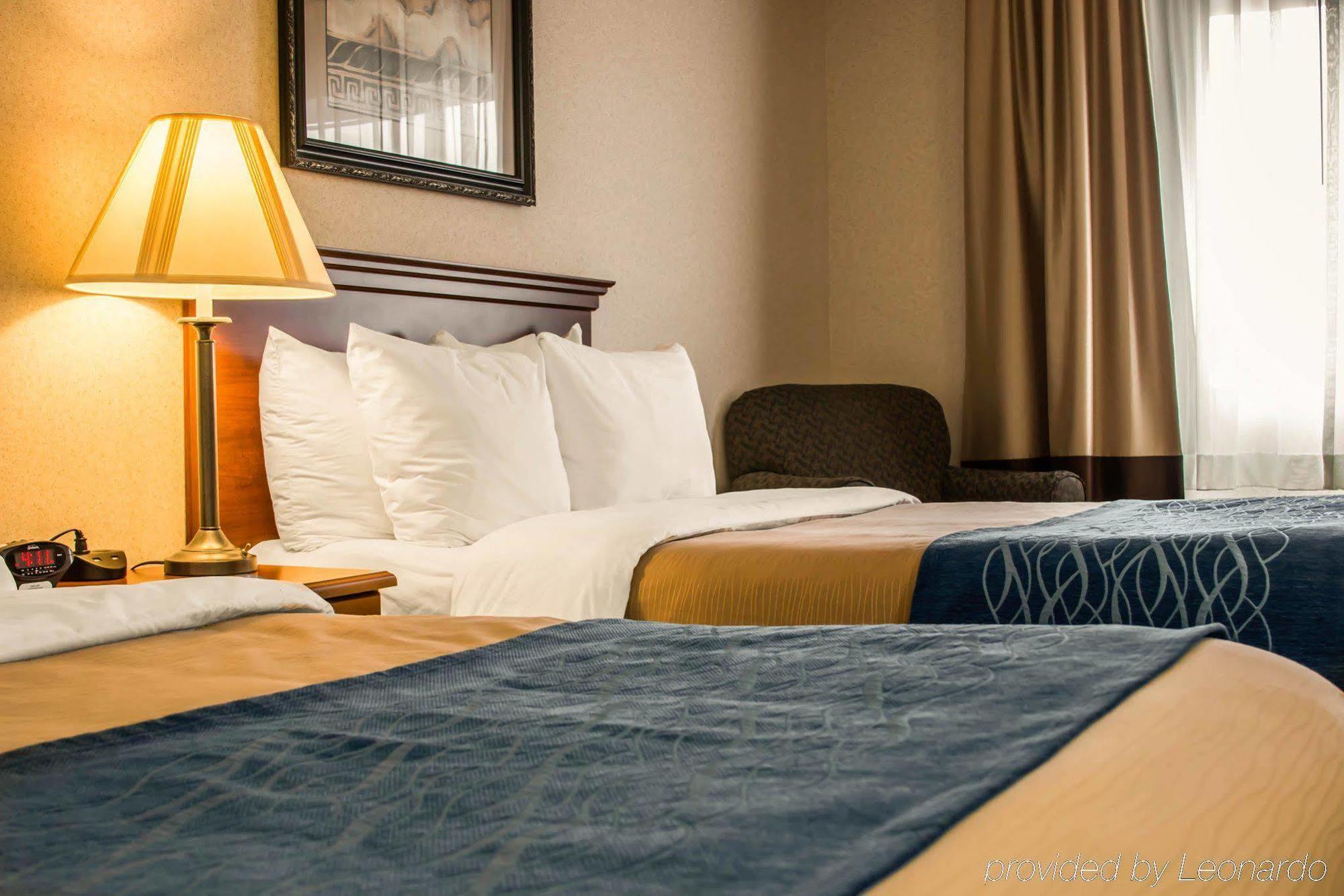 Comfort Inn & Suites Dimondale - Lansing Kültér fotó